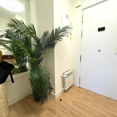 Paradise Luxurious Apartment, 3 Double For 6 Guests, 4 Beds, Terrace, Jacuzzi, Free Parking, New San Sebastian