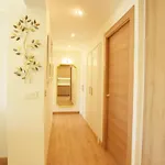 Paradise Luxurious Apartment, 3 Double For 6 Guests, 4 Beds, Terrace, Jacuzzi, Free Parking, New Apartmán